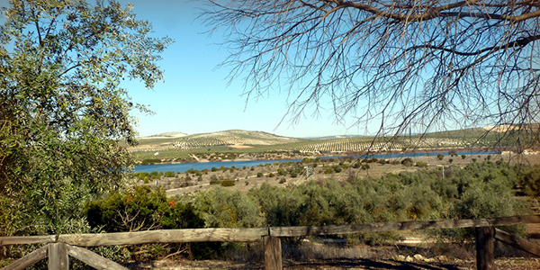 Bootstrap Thumbnail Second